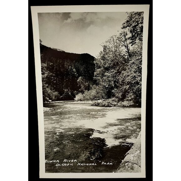 Elwha River RPPC Postcard Vintage Port Angeles WA Olympic National Park - Picture 1 of 6